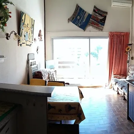 Appartement Climatisé Avec Piscine, Parking - Argelès-sur-mer - Fr-1-388-48